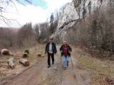 2. Metla